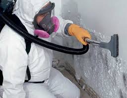 Trusted Seven Lakes, NC Mold Removal Services Experts